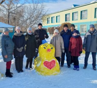 АУЛАҒА СӘН БЕРГЕН ҚАР МҮСІНДЕР